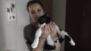КРИС танцующий с мамкой. музыка: Д. Тухманов "Из вагантов"- "По волне моей памяти"