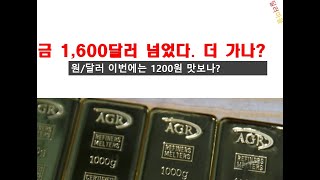 금온스당 1600달러 넘어,향후 전망은I원달러 1200원 달러 돌파 가능성은?