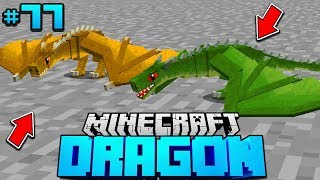 Die DRACHEN BRÜDER?! - Minecraft Dragon #77 [Deutsch/HD]