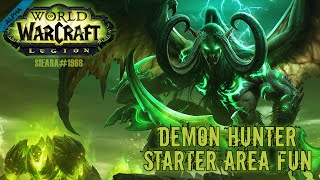 World of Warcraft: Legion (Alpha) - Male Blood Elf Demon Hunter Starting Area Playthrough #1