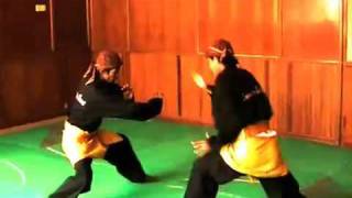 Harimau Singgalang Volume 1
