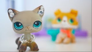 Alice Lps Contest 2018 (Missing You)