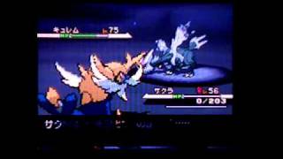 ポケモンブラック・つかまえた！光るキュレム！Pokemon Black: shiny Kyuremu