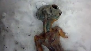 ГОМУНКУЛ СЛУЧАЙНО ПОЛУЧИЛСЯ! ШОК! (гомункул из яйца) homunculus