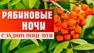 Осенняя песня. Рябиновые ночи | Александр Закшевский (2019)