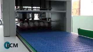 ECM C34-1 yeni nesil yumurta paketleme makinası (new style egg packaging machine)