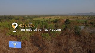Thời tiết này đi đâu | Đắk Lắk - Tìm hiểu về voi Tây Nguyên