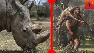 Hope For Northern White Rhino & Neanderthal Hunting Techniques - 7 Days of Science