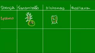 Tifo epidêmico e endêmico - Parasitologia - Biologia