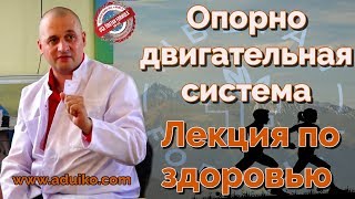 Опорно двигательная система - Лекция по здоровью
