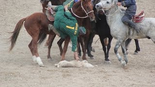 Финал. Құлагер (Шымкент) - Әулие-ата (Тараз). Жастар Көкпар Кокпар horse кок бору buzkashi 2016