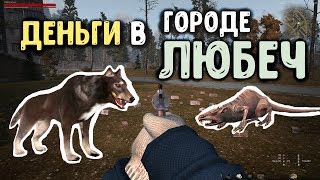 STALKER ОНЛАЙН / Зарабатываем деньги на собаках и крысах