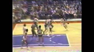 Larry Bird (22/21/4) vs Julius Erving (28/11/7), 1980 ECF game3, highlights