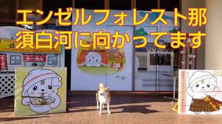 エンゼルフォレスト那須白河に向かってます（清流の里でイワナ・ニジマス釣り）