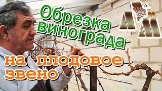 ? Обрезка винограда на плодовое звено