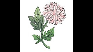 How to draw flowers Chrysanthemum/ Как рисовать цветы, Хризантема.