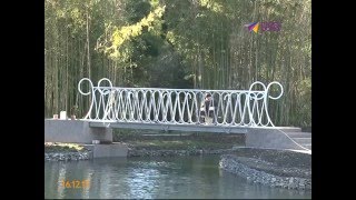 В Сочи возрождают парк "Южные культуры"