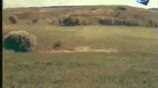 Маковецька Трофимчук  "Ми підем, де трави похилі" 1978