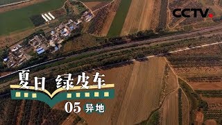 《夏日绿皮车》第五集 异地 | CCTV纪录