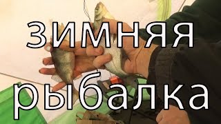 Белоярка. Третья заводь. 2019
