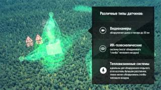 Как система "Лесной Дозор" обнаруживает возгорания