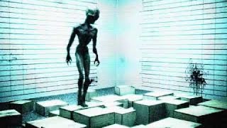 Пойман инопланетянин! Реальные доказательства существования инопланетян