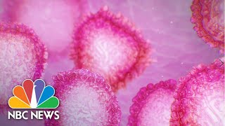 8th Coronavirus Case Confirmed In U.S. In Massachusetts | NBC News