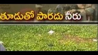 Weed problem in West Godavari - జైకిసాన్ - 1st April 2015