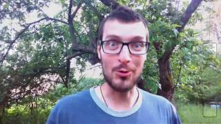 Рой пчел.поймал рой пчел.