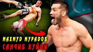 Ўзбегим олға???????? МАХМУД МУРАДОВ ЯНЧИБ ТАШЛАДИ / Новый бой Махмуд Муродов vs Криштоф Йотко ТАХЛИЛ