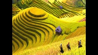 Du lịch sapa vẻ đẹp thiên nhiên  - Vietnam Discovery