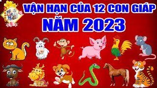 Tử Vi 12 Con Giáp Năm 2023 Ai May Mắn, Giàu Có? Và Cách Hoá Giải VẬN HẠN Cho Từng Tuổi