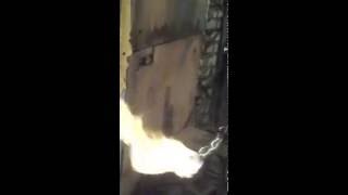 газген для отопления дома первый пуск