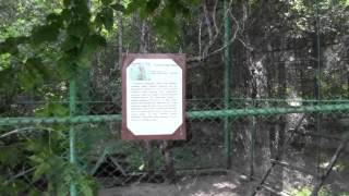 Большереченский сельский зоопарк. ч.1.