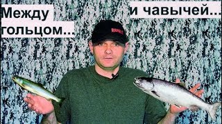 Навага (классическая снасть и нехрен выдумывать) п.Октябрьский Охотское море