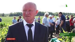 Семинар по выращиванию кукурузы прошёл в Стародубском районе 3 07 19