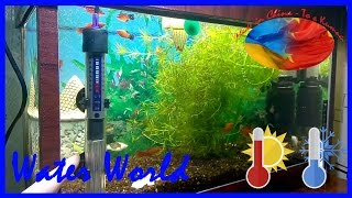 Water World #53 / Повышаем градус в аквариуме / Установка обогревателя и термометра