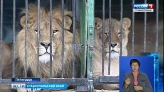 "Вести. Ставропольский край" 20.01.2017