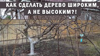 Как сделать дерево широким, а не высоким!