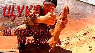 щука на отводной поводок