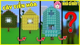 SỰ TIẾN HÓA CỦA NHÀ CÂY TRONG MINECRAFT ( MINECRAFT HỌC BUILD CÙNG MỀU )