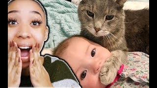 CRAZY Baby and Cat Fun and Fails - Funny Baby Videos
