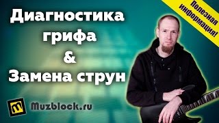 Как поменять струны на электрогитаре, диагностика грифа