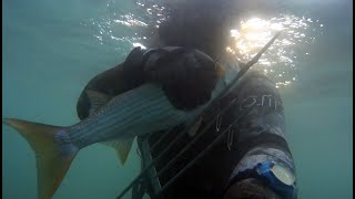 Подводная охота в Чёрном море - ЛОБАН (Макопсе 2018, отпуск)