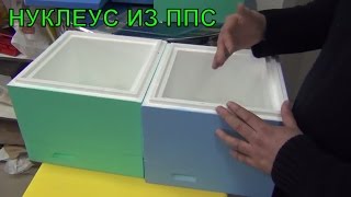 СОДЕРЖАНИЕ ПЧЕЛ  В НУКЛЕУСАХ ИЗ ППС. ОБЗОР МИНИПЛЮСОВ ИЗ ППС ДЛЯ ОБЛЕТА ПЧЕЛОМАТОК