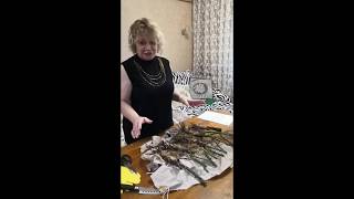 ЗАКАЗАЛА РОЗЫ в питомнике Елены Иващенко