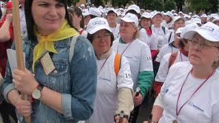 Скандинавские ходоки из Подольска на фестивале "Ходи Подмосковье"
