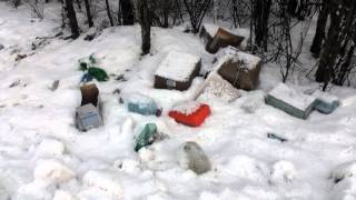 Саратов. Свалка костей