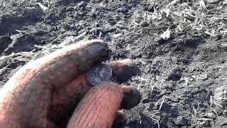 Коп ЧК,  x-terra 705 + Nel tornado 18.75