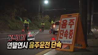 [울트라] 꼼짝 마! 음주운전 단속